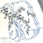 anamotique-5in