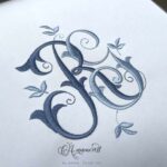 RG-Anamored-Sewout