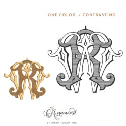 RW embroidery to vector conversion