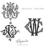style-onecolor-twotone