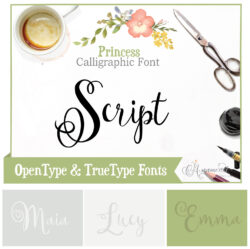 Princess Calligraphic Script Font