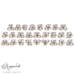 pointsettia-font-anamored